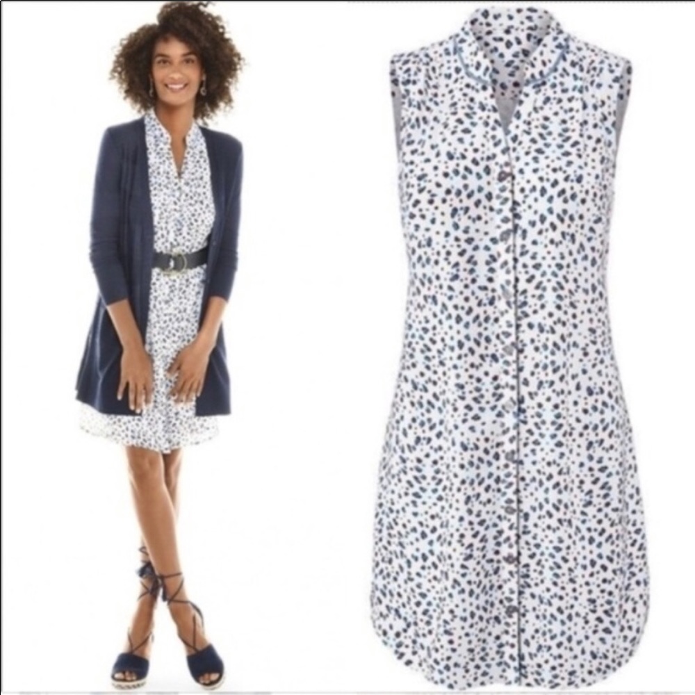 Cabi Camilla dress